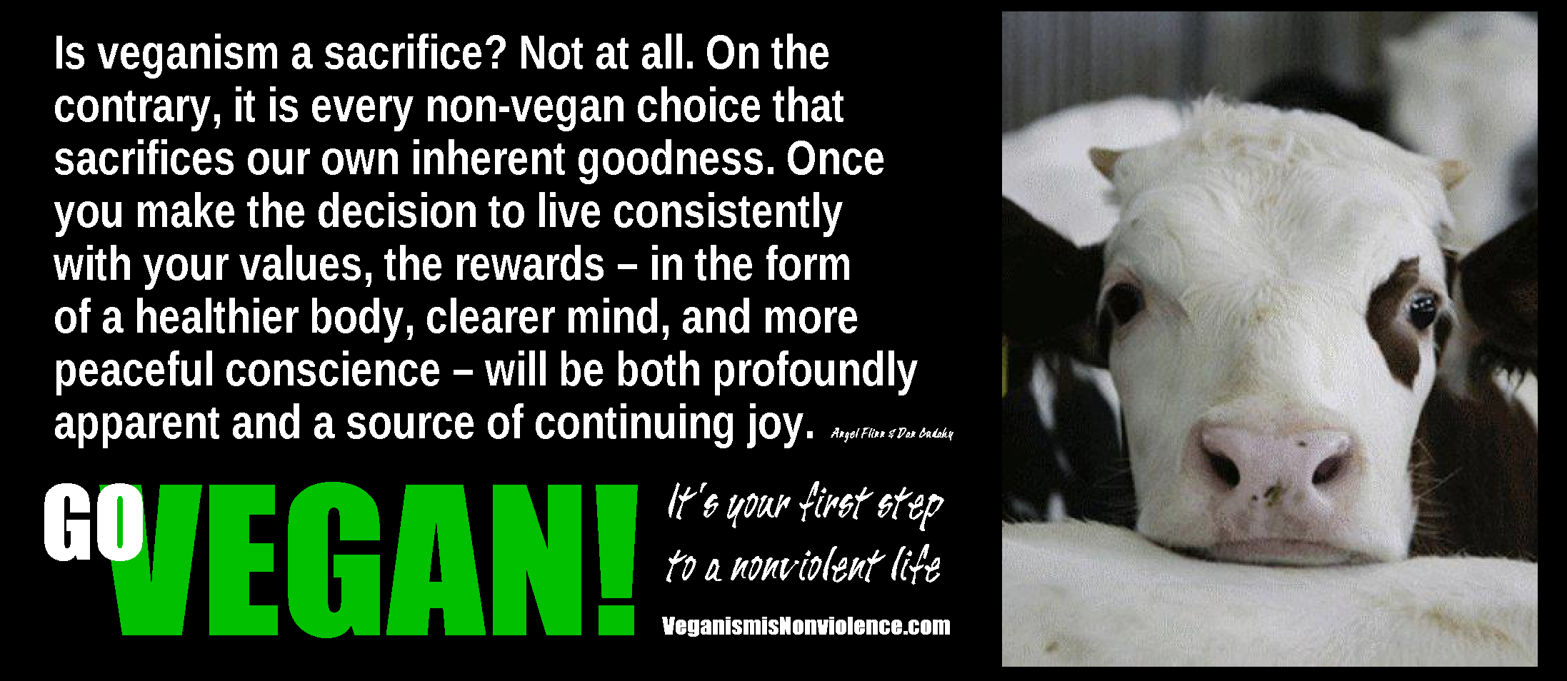 Veganism: What Gives? – billziegler1947
